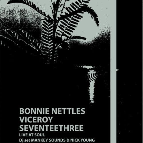 The Bonnie Nettles // Viceroy // Seventeethree Live | Soul